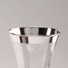 Admiral Crystal Carafe with Sterling Silver Trim