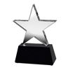 Crystal Star Award 