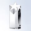 Crystal Star Tower Award