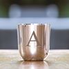 Pewter Pimlico Tumbler