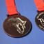 Tusk Trust Conservation Awards Medal