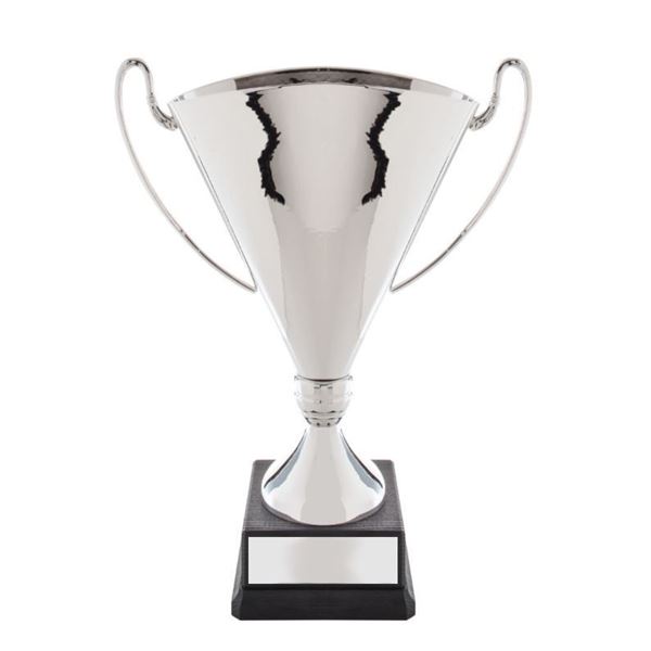 The Inkerman Silver Fluted Cup 