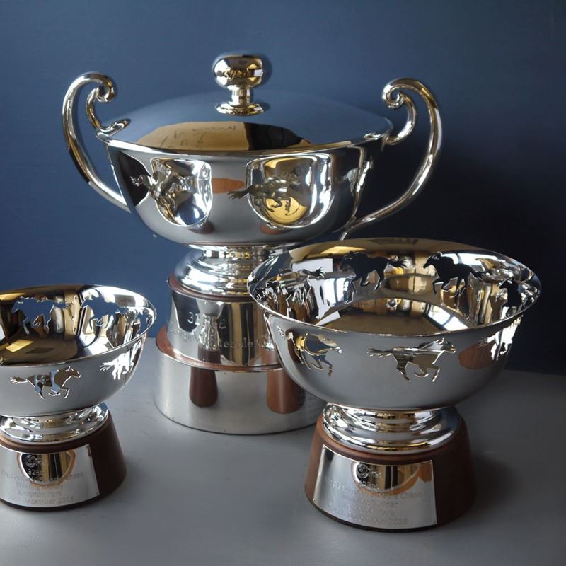 Picture for category Trophies, Cups & Awards