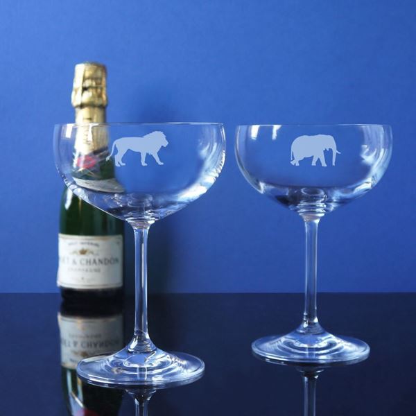 Tusk Champagne Coupe