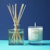 Diffuser and Candle