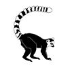 Lemur