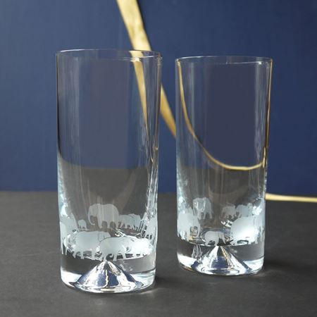 Conservation elephant tumbler