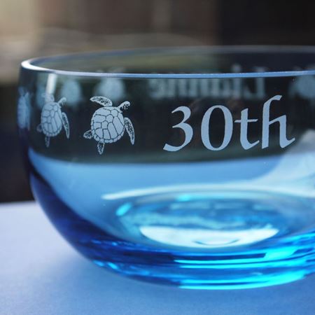Coloured Glass Bowl - Turtles