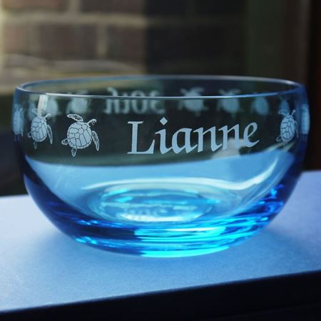 Coloured Glass Bowl - Turtles