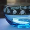 Coloured Glass Bowl - Turtles