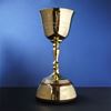 The Lord's Taverners ECB Trophy - Gold