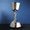 The Lord's Taverners ECB Trophy - Silver