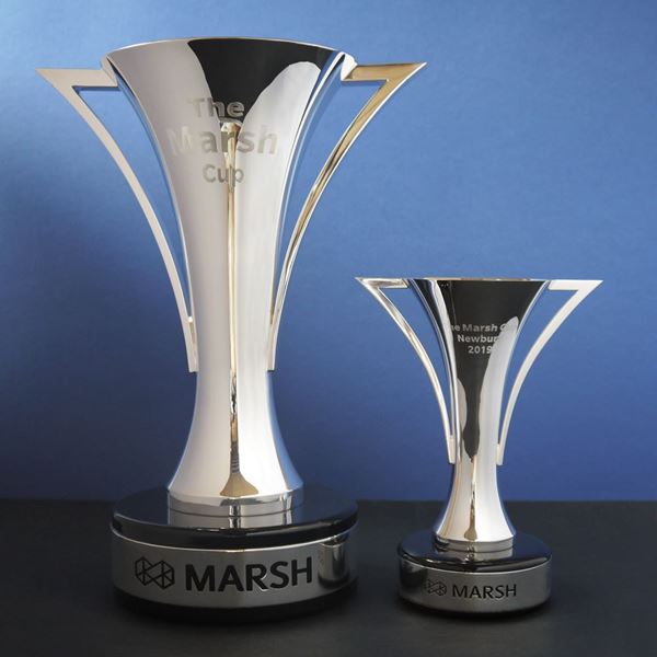 Picture of The Marsh Cup