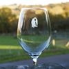 Chimpanzee wine glass