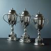 Large, Medium and Small Pewter Cup Trophies