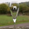 Tusk lion glass