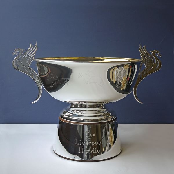 Picture of Trophy Gallery