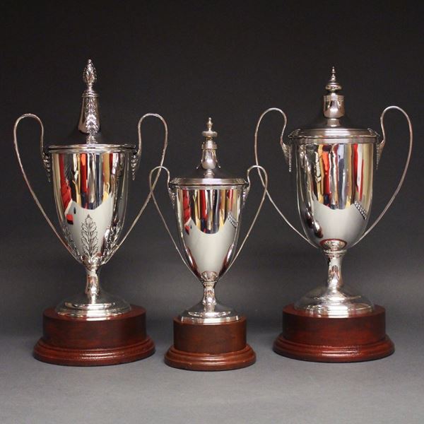 Picture of Trophy Gallery