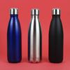 Insulated Water Bottle