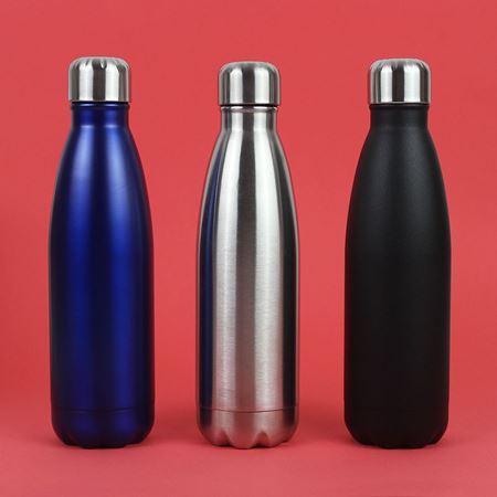 Insulated Water Bottle