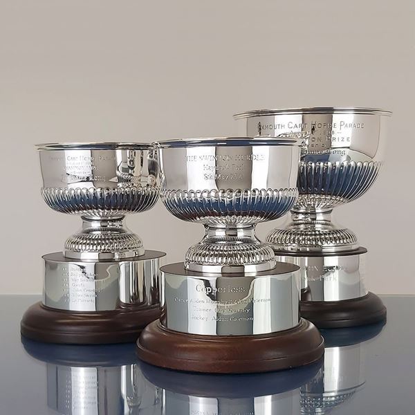 Picture of Trophy Replica Service