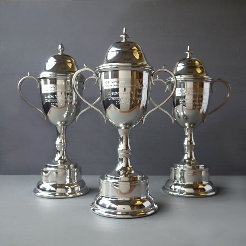 Picture for category School Cups & Trophies