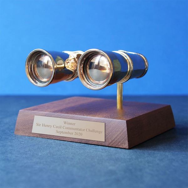 Bronze Binoculars