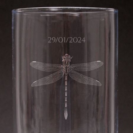 A pair of etched dragonfly storm lanterns