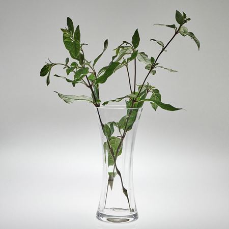 Sophie Glass Vase