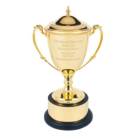 Picture of Trophy Restoration Service