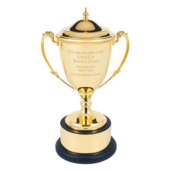 Picture of Trophy Restoration Service