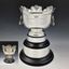 Picture of Trophy Restoration Service