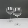 Pair of Gin Glasses