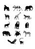 Tusk animals