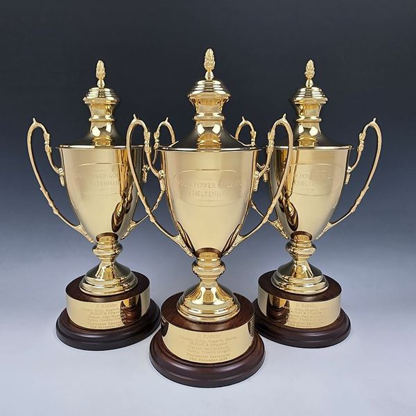 Picture of Trophy Replica Service