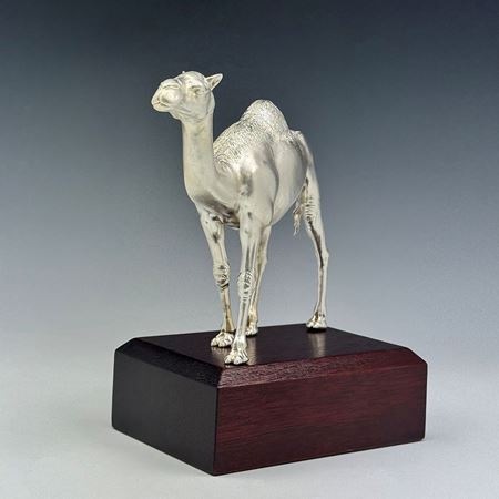 The Camel Trophy Award