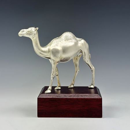 The Camel Trophy Award