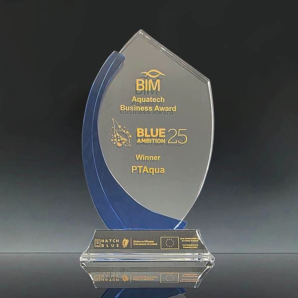 Picture of Industry Awards