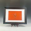 Jockey's Mount