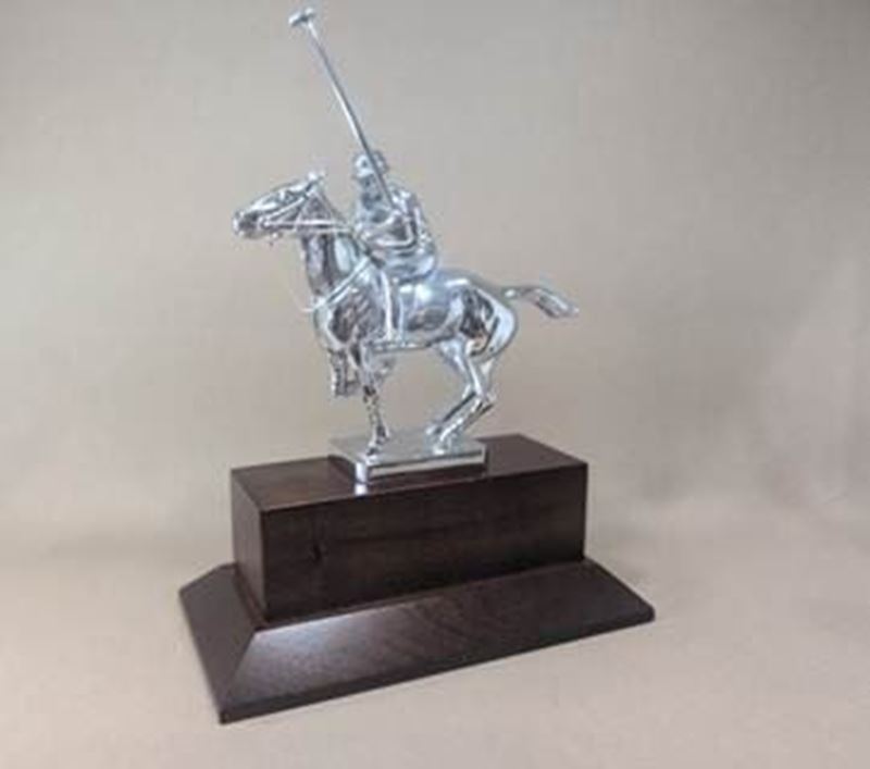 Picture for category Polo