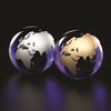 Gold or Silver Globe